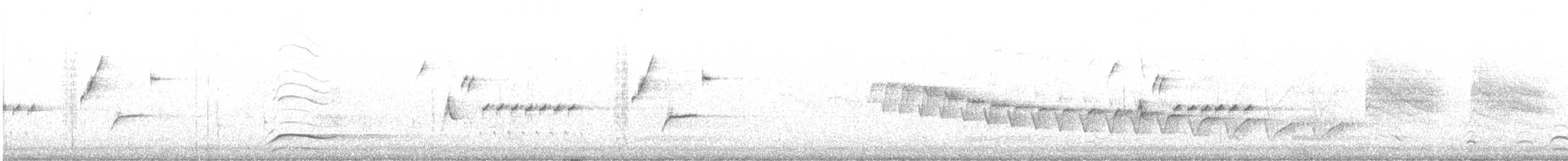 Каньонный крапивник - ML616596361