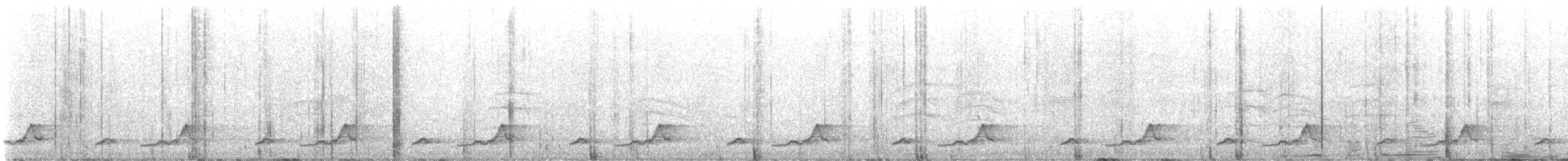 Schwarzkehl-Nachtschwalbe - ML616600539