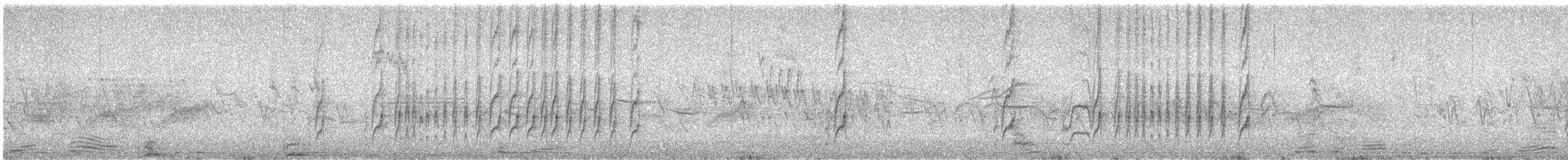 Schmalschnabel-Königstyrann - ML616601867