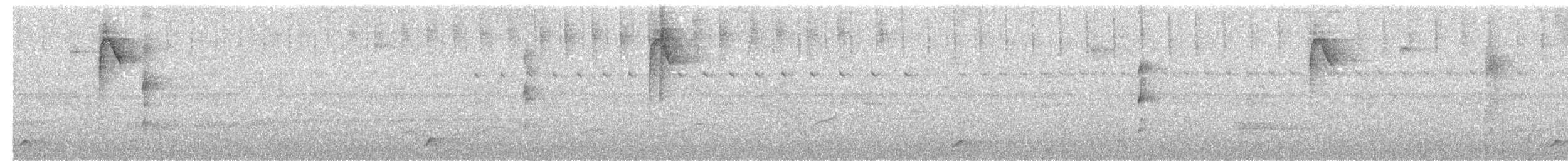 Kısa Kuyruklu Karıncaardıcı - ML616603114