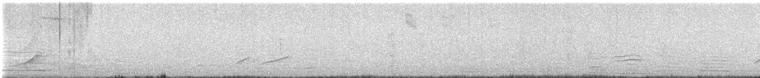 Eurasian Collared-Dove - ML616604062