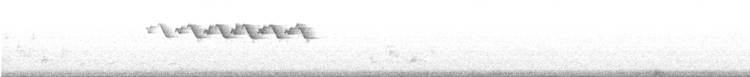 Paruline noir et blanc - ML616604728