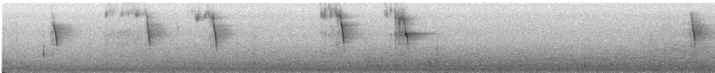 Сипуха темно-бура (підвид tenebricosa/arfaki) - ML616610520
