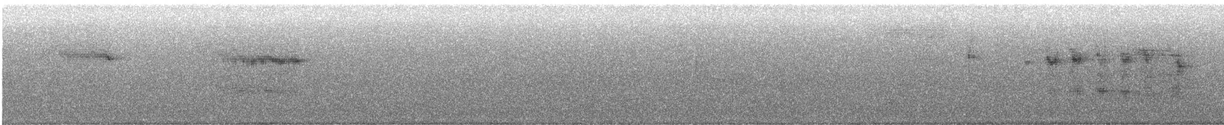 Чёрная сипуха (tenebricosa/arfaki) - ML616610521