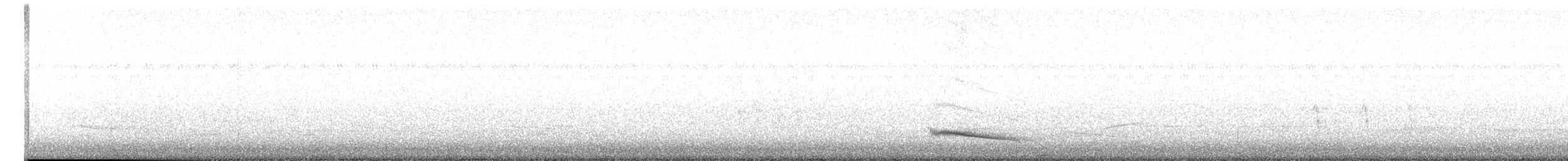 Rotmanteldrossel (rufopalliatus) - ML616610624