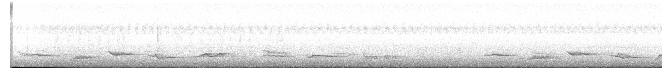 Rotmanteldrossel (rufopalliatus) - ML616610705