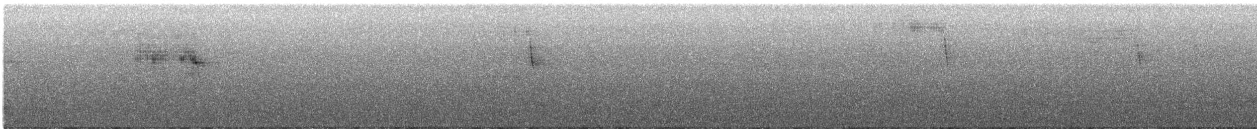 Сипуха темно-бура (підвид tenebricosa/arfaki) - ML616610950
