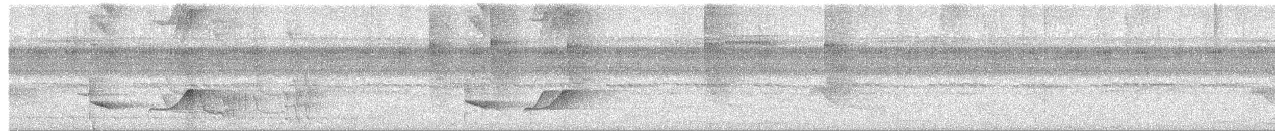 Varzea Schiffornis - ML616611835