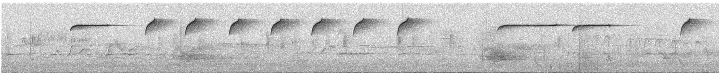 Spotted Quail-thrush - ML616612008