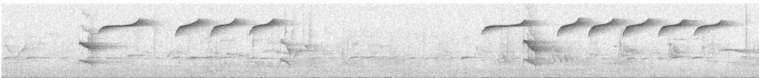 Spotted Quail-thrush - ML616612009