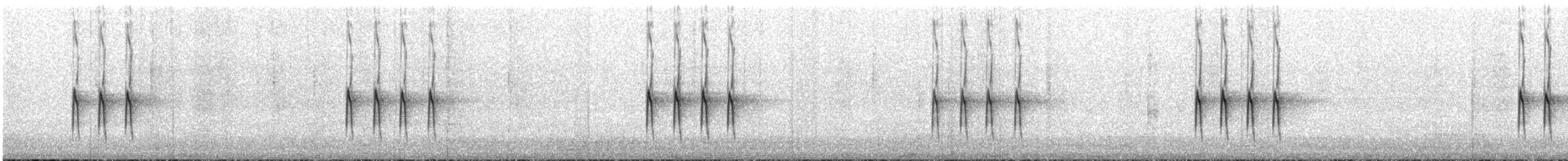 Bec-croisé des sapins (himalayensis) - ML616612014
