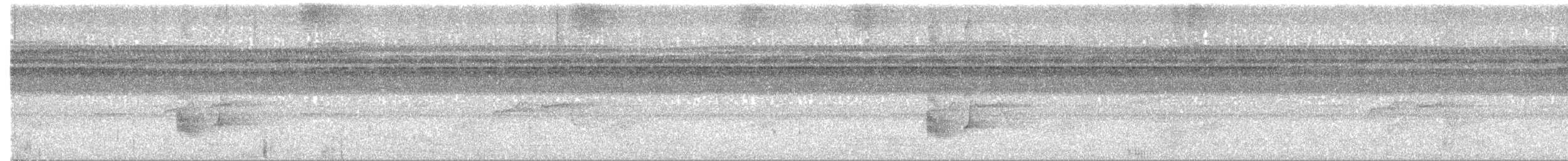 Манакін-стрибун карликовий - ML616612044