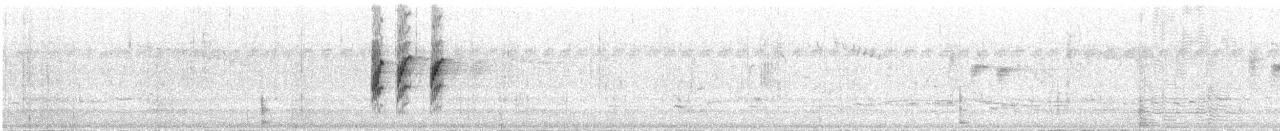 Slaty-backed Thornbill - ML616612525