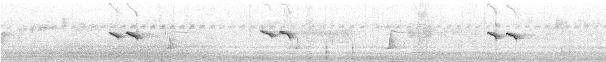 Slaty-backed Thornbill - ML616612529