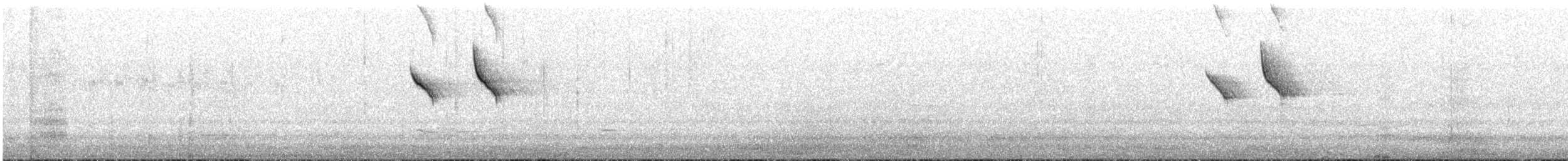 Slaty-backed Thornbill - ML616612530