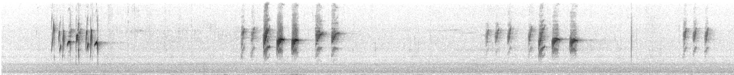 Slaty-backed Thornbill - ML616612531