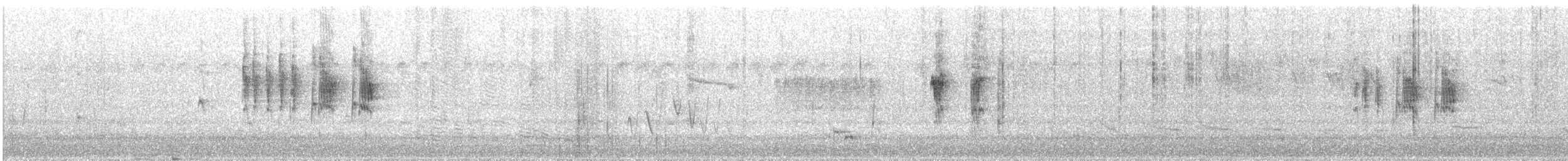 Slaty-backed Thornbill - ML616612533