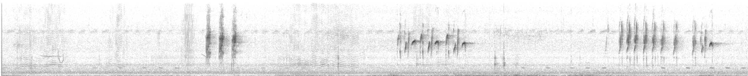 Slaty-backed Thornbill - ML616612537