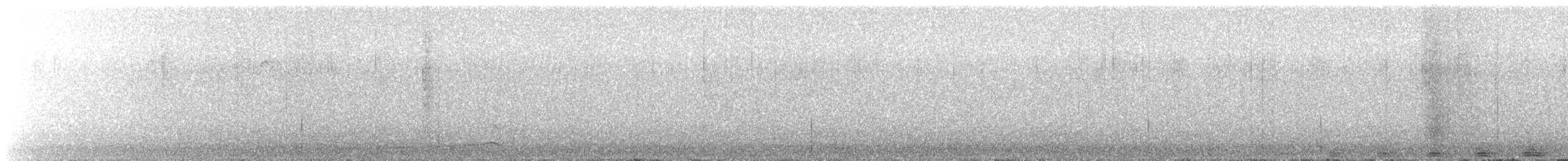 Сова плямиста - ML616612835