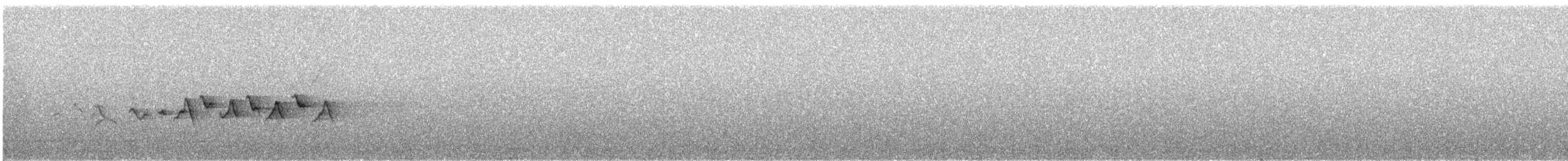 Белокрылая канделита - ML616613472