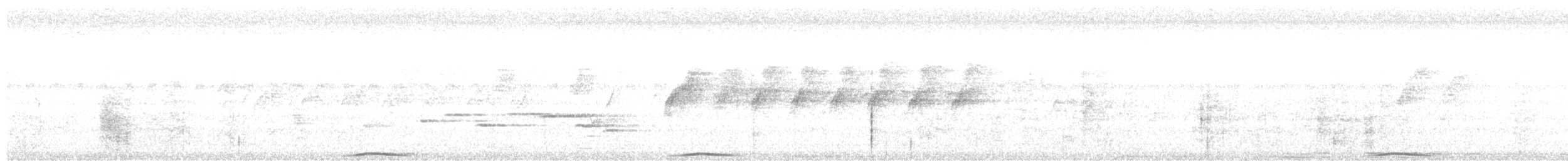 holub černobradý - ML616616074