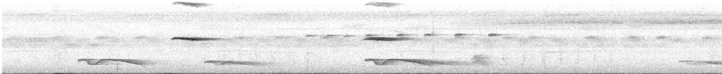 Riesennachtschwalbe - ML616616585