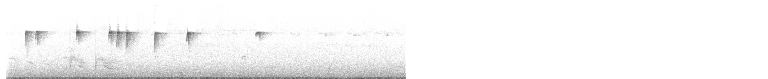 Широкохвістка світлонога - ML616616590