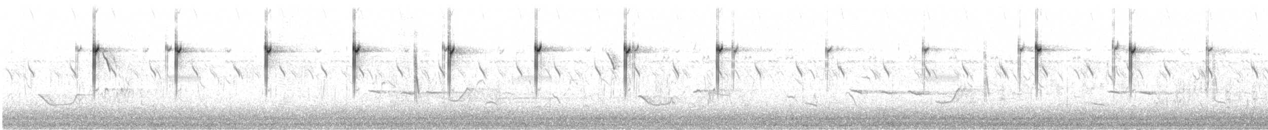 cistovník rákosníkový (ssp. terrestris/uropygialis) - ML616617090