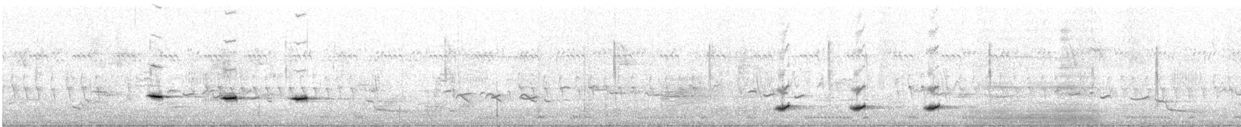 Weißflankenschnäpper - ML616617123