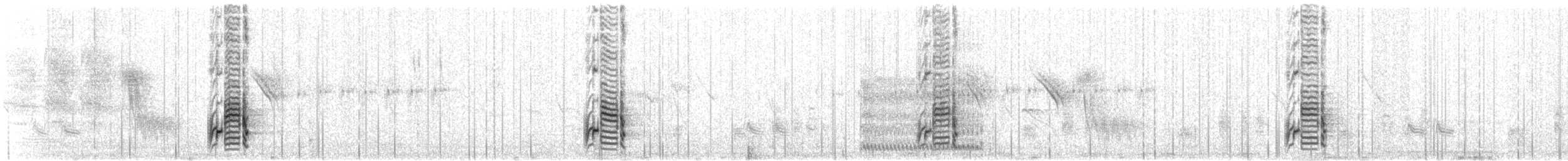 Çatal Kuyruklu Drongo (apivorus) - ML616617274