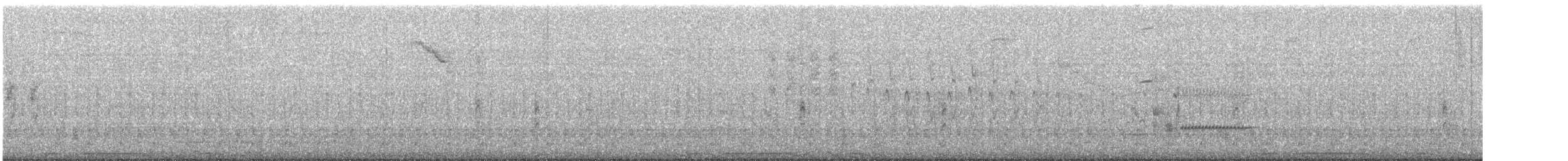 תור צווארון - ML616621405