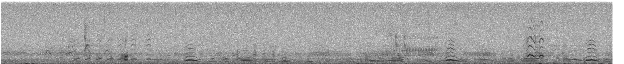 Cygne siffleur - ML616621604