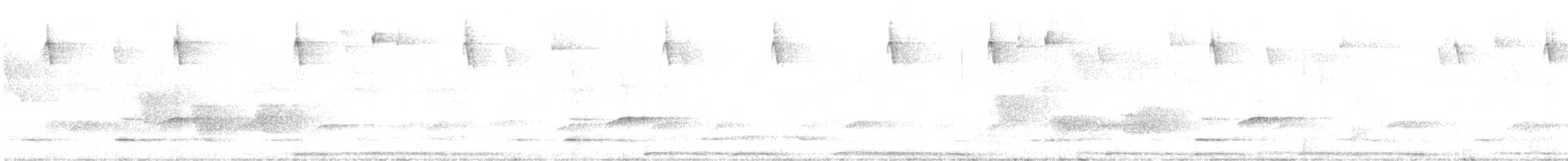 holub šedobřichý - ML616622160