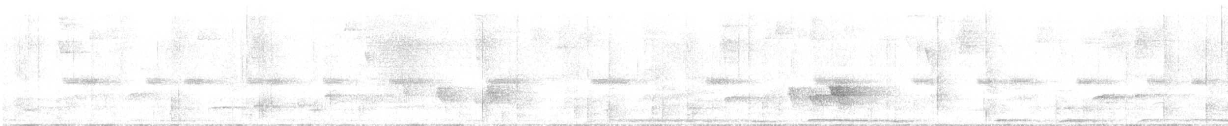 holub šedobřichý - ML616622161