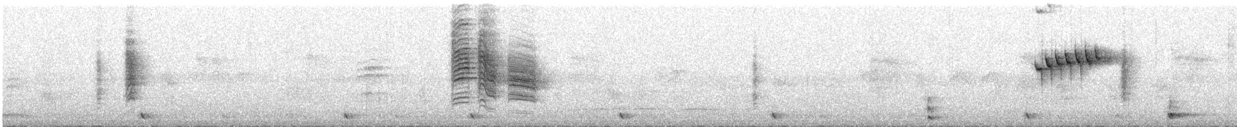 Эрпорнис, зелёная ложноюхина - ML616622344