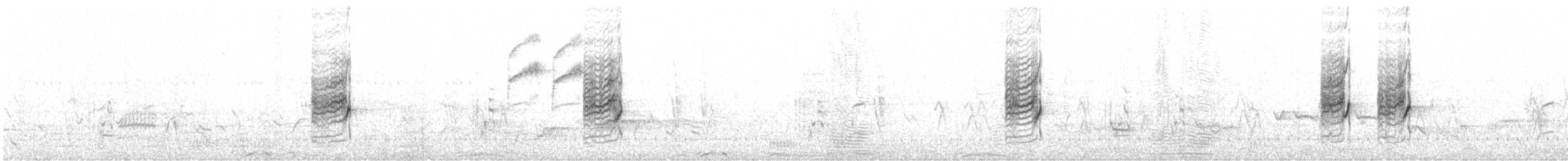 Белобрюхая нектарница - ML616625195