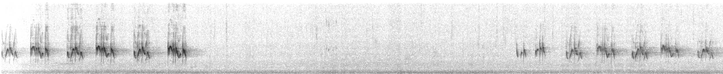 Crombec à long bec - ML616625440