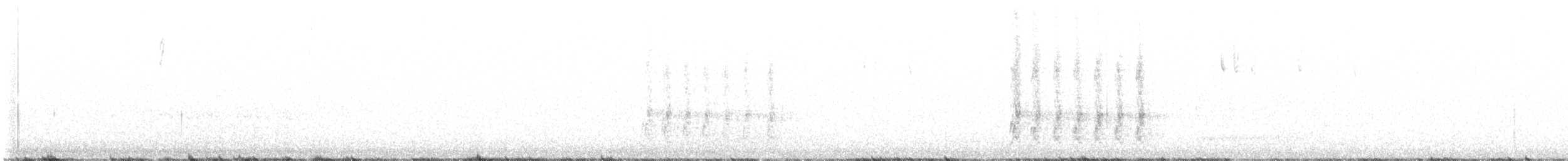Steller Kargası [diademata grubu] - ML616625769