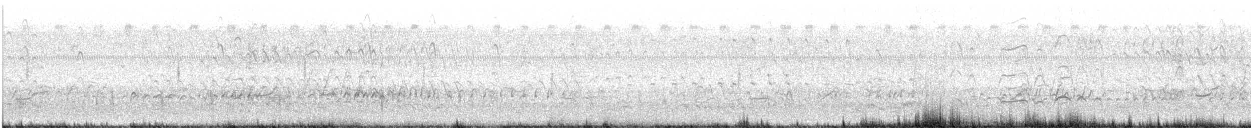 Kara Karınlı Islıkçı Ördek - ML616626621