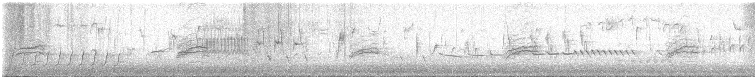 Дрізд-короткодзьоб плямистоволий - ML616627018