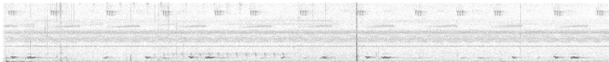 東方角鴞(sunia群) - ML616627407