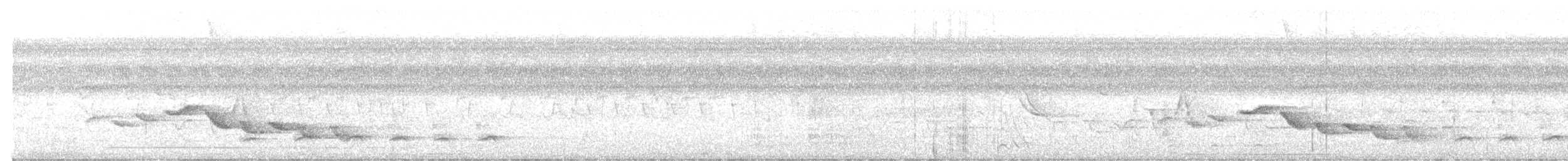 Тонкоклювый крапивник - ML616628265