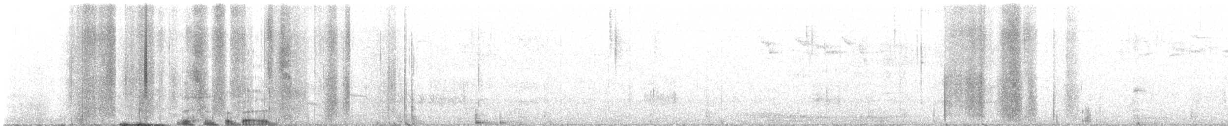 Striped Woodpecker - ML616628895