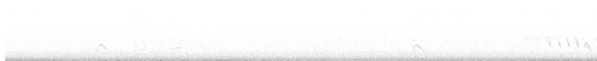Little Ringed Plover - ML616633065