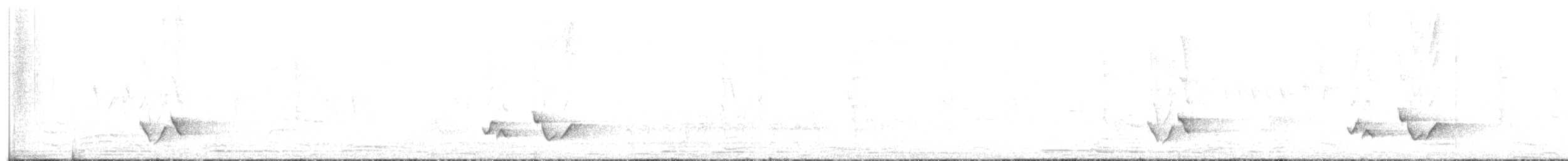 Жёлтый толстонос (aurantiacus) - ML616634085