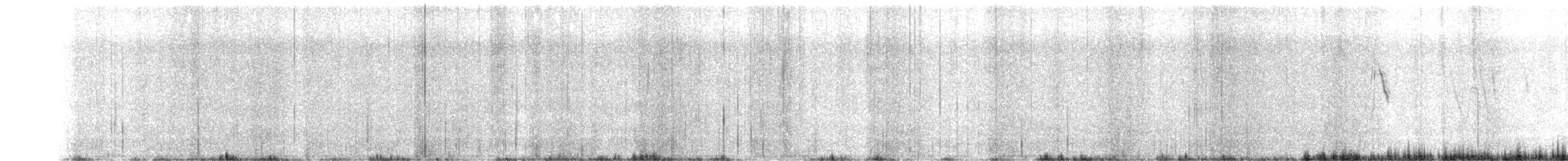 Schafstelze (Thunberg-Schafstelze) - ML616634212