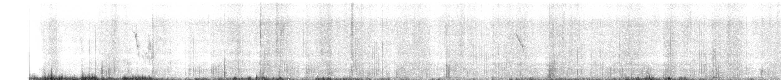 konipas luční (ssp. thunbergi) - ML616634214
