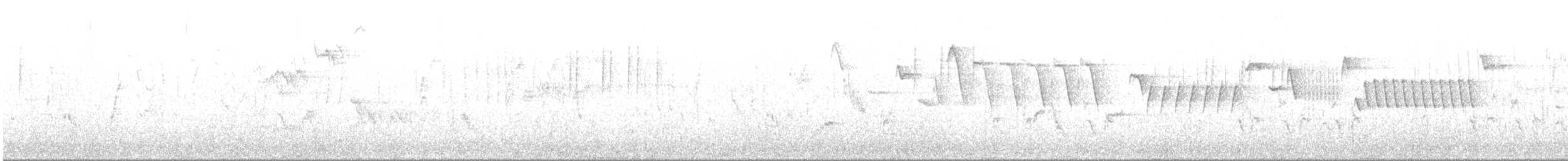 Chochín Paleártico - ML616635541