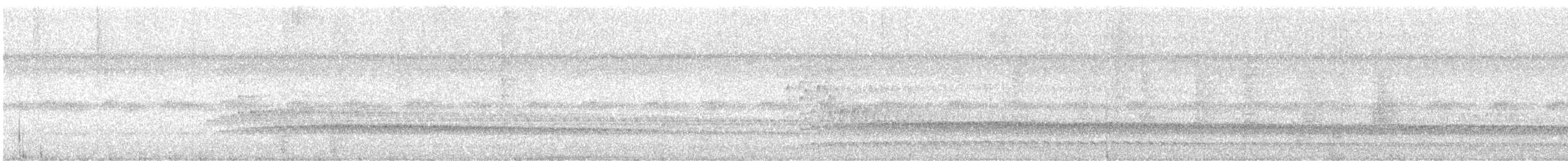 Kırmızı Çizgili Kestane Yelvesi - ML616635707