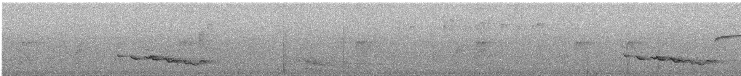 Kara Gagalı Koca Vireo - ML616635867